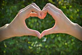 heart from hands on a background of greenery