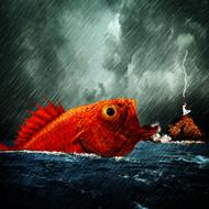 Woman Fish Big