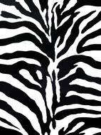 zebra pattern as background