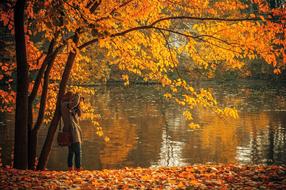 Autumn Fall Leaves and lake