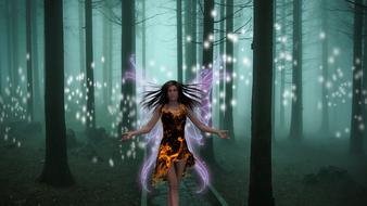 fantasy picture of a girl in a fairy forest