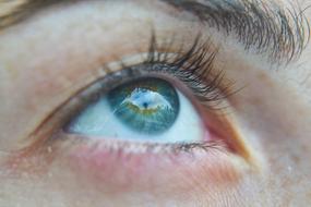 blue eye macro photo