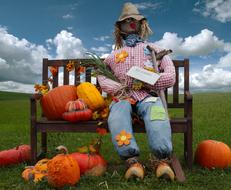 scarecrow and pumpkin on a bench in the field