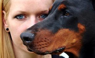 Blonde woman with earring, near the beautiful and cute, black and brown Doberman dog