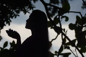 beautiful woman Silhouette beneath tree at dusk