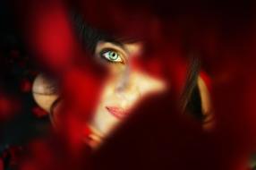 view through a red rose on a girl