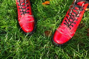 Feet Shoes Woman