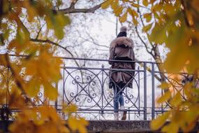 Fashion woman at fall