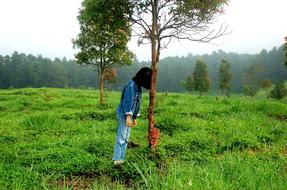 girl in jeans wear beneath tree in wilderness