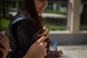 Urban Women and Bird