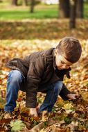 Toddler Child Picking leaves In The Park