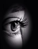 black and white photo of a female eye with eyelashes