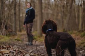 Woman and Dog at fall forest