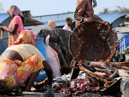 work for the poor in the fish market