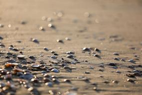 Close-up of the sandy beach of the sea, with colorful, shiny stones in summer