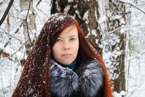 Winter Coldly Snow forest