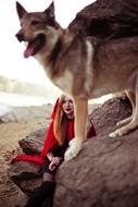 Colorful, beautiful and cute wolf near the girl in Riding Hood costume, outdoors