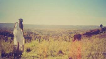 Woman Dream Landscape