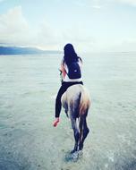 Horse Woman rider on Beach