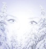 female eyes on the background of trees in the snow