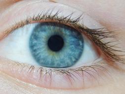 Blue Eye Eyes