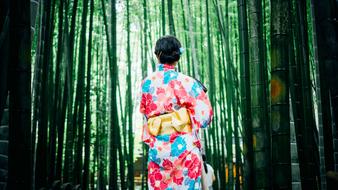 Bamboo Trees Girl Kimono