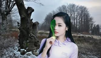 Woman Female Beauty
