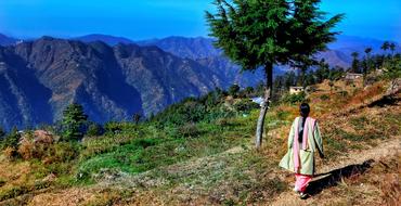 Shimla Himalayan Mountains