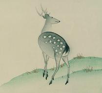 japanese painting, deer on the hill