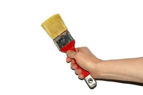 Brush Woman Work The