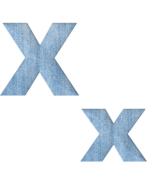 alphabet letter x with denim texture