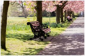 Benches on alley in park at spring