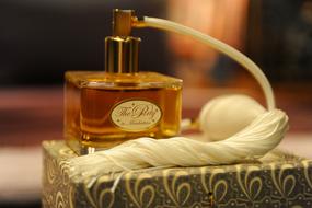 antique perfume bottle