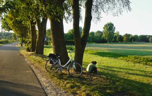 parked bicycle and woman beneath tree on roadside at summer