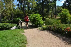 Female Jogger Running on bridge in park at summer