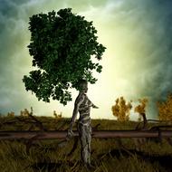 Beautiful landscape of the woman as a colorful tree