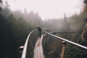 Woman on a bridge, among the beautiful forest in fog, on the adventure