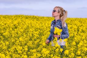 girl on the field with yellow flowers