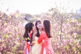 three young asian girls kissing among blooming trees
