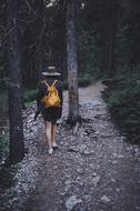 girl with a yellow backpack in the woods at dusk