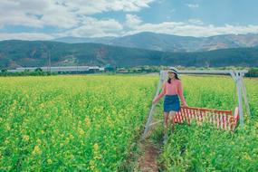 Lovely Woman at swing on blooming rape field