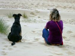 Woman And Dog Beach Scene Sand