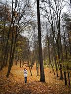 Autumn Girl Trees