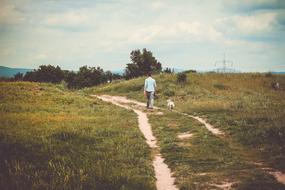 Green Grass Path