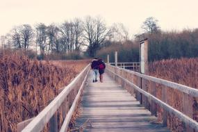 Couple walking on the wooden bridge among the colorful and beautiful plants