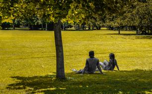 People Sitting Park