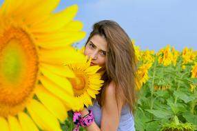 Sunflower Woman Field
