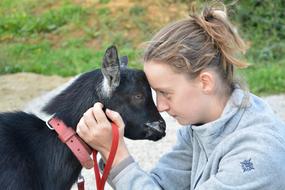 Young Girl and goat