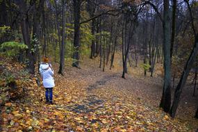 Autumn Girl Trees