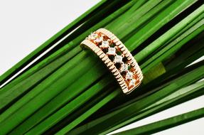 Close-up of the colorful and beautiful ring with jewels, on the green blades of grass